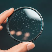 Objektiv-Scatter-Filter, Spezialeffekt-Sternfilter, Farbiger Sternenlichtfilter, Gebürsteter Glanzglas-Kameraobjektivfilter