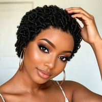 13x4 Transparent Lace Front Short Finger Coil Pixie Cut Wig Human Hair, Caterpillar Curly Short Lace Wigs for Women Pre Plucked