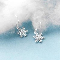 Sole Memory Hollow Snowflake Fresh 925 Sterling Silver Female Dangle Earrings For Women Luxury Jewelry Party Gift EA719