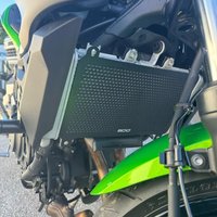 For Kawasaki Z400 Eliminator 400 450 Z 500 SE ABS 2023 2024 2025 2026 Z500 Motorcycle Radiator Guard Protector Grille Cover Part