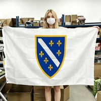 60x90cm 90x150cm 120x180cm Bosnia and Herzegovina 1992-1998 Flag Tapestry Polyester Banner With Brass Grommets For Wall Decor