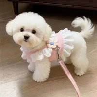 Dog Supplies Pet Harness Leash Princess Cat Dress Costumes Nylon Kittten Dress Puppy Harness for Rabbit Teddy Cats Clothes