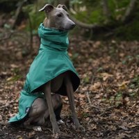Pet Raincoat Waterproof Windproof Adjustable Elastic Dogs Raincoats Jacket Portable Jumpsuit Rain Cover for Dog Pets Products