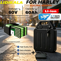 60V 20Ah-60Ah 18650 Lithium-Akku, herausnehmbar mit Ladegerät, wasserdicht, für Harley Citycoco Elektromotorrad-Roller, Ersatzakku.6