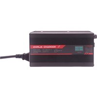 ND 2+4 Conversion Line 69.7V/29.2V/43.8V/54.75V/58.4V/73V/87.6V Lithium Phosphate Battery Charger High Efficiency Smart Charging