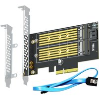 M.2 PCIe Adapter for One M.2 NVMe SSD and One M.2 SATA SSD