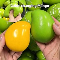 2026 Handmade Crispy Mango Stress Ball Fidget Toy Crunchy Squeeze Ball Round Blocks Filled ASMR Anti Stress Toys for Adults
