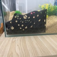 Aquarium Cave Hideout For Shrimp Fish Breed Play And Rest Natural Resin Decor Aquatic Pets Shelter Hiding Spot