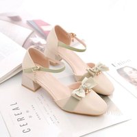 Spring Summer Bowknot Heeled Sandals | Sweet Pointed Toe Cutout Pumps | Versatile Mid Heel Party Dance Shoes For Women