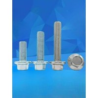 UNC 1/4-20 5/16-18 3/8-16 304 Stianless Steel/blue White Zinc Hexagon Head with Serrated Flange Cap Screw Hex Washer Head Bolt