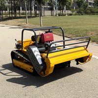 Customized Sale 48V Heavy Duty Remote Control Flail Mower Tracked Mulcher Brush Cutter Forestry Mulcher For Slope And Urban