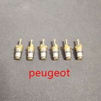 Livraison gratuite, (100 pièces) Noyau de valve d'interface de charge de climatisation pour Peugeot