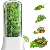 Herb Saver for Refrigerator Vegetable Preserving Bottle Fresh Herb Keeper Pod Cilantro Saver Container for Kitchen Storing Tool