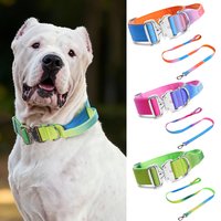 Medium to Large Dog Training Collar And Leash Set for Dogo Argentino Doberman Pinscher Outdoor Pet Supplies Accessory