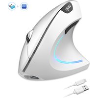 2025 New arrival HXSJ dual mode vertical mouse ergonomic ABS 600mAh rechargeable 2400DPI Type-c interface wireless mouse for pc