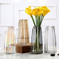 Modern Simple Vertical Glass Vase for Hydroponic Flowers Colorful Creative Vase Home Table Decoration Gift for Greenhouse