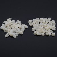 100Pcs Dental Teeth Veneers Temporary Crown For Anterior & Molar Teeth Protecting Oral Care Temporary Crown Porcelain
