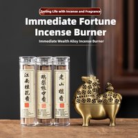 New arrival is coming soon caijin aromatherapy burner agarwood sandalwood xiaoxiangyun indoor for home incense burner ornaments