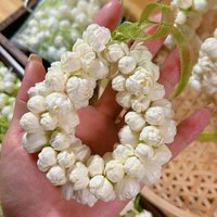 High-quality Natural Dried Flowers Jasmine Buds For Wedding Decoration Diy Mix Resin Flower Incense Soap Candle Making