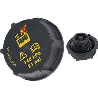 DG938101AA DG93-8101-AA Coolant Recovery Tank Cap-s for FORD TRANSIT V348 V362 FORD FOCUS EVEREST FUSION 2013-2015 5193938