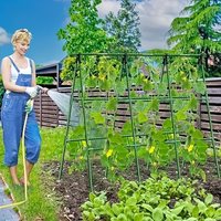 Metal Garden Stakes(Including Additions)for Climbing Plants-Support Poles Ideal for Tomatoes,Grapes,Cucumbers,And Passion Fruit