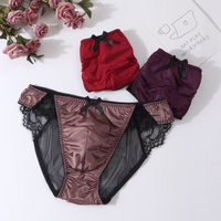 Underwear Man's Hip Sheer Net Mesh Sexy Panties Briefs Lace Hem Bowtie BF Gifts LGBQT Harajuku Private Party DJ Club Bar