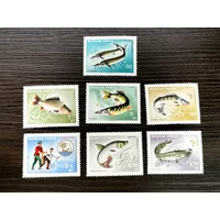 7Pcs/Set New Hungary Post Stamp 1967 Freshwater Fish Fishing Stamps MNH
