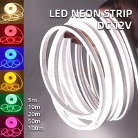 5-100m DC 12V LED Neon Strip Waterproof Single Color Red Green Blue White Warm Yellow Pink Purple RGB Color Flexible Tape Lights