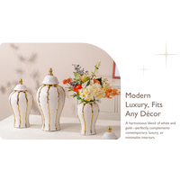 Porcelain Ginger Jar Elegant with Lid Multifunctional Traditional Ceramic Vase for Entryway Living Room Home Desktop Shelf