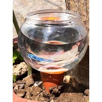 3pcs Automatic Drip Irrigation System Self Watering Mini Garden Automatic Drip Irrigation Flower Plants Greenhouse
