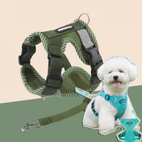 Blue Reflective Breathable Dog Harness and Leash Set Pet Chest Strap Dopamine Pet Supplies Dog Accessories for Small Dogs 2026