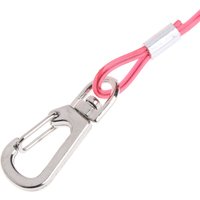1Pcs Bird Leash Training Rope Parrot Flying Harness 5 Meters Anti-Bite Elastic Parrot Leash Outdoor Walking Strap