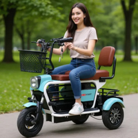 Foldable 3 Wheel Mobility Scooter With Pet Electric Scooter Orange Blue Double Shock Absorption 400W Elderly Electric Tricycle