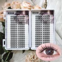Fluffy Volume False Eyelash Extensions V-shaped Natural Curl Large Capacity Fake Lashes Daily Wear Perfect Eye Makeup For Women