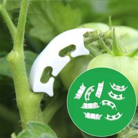 50/100pcs Botany-stem Vine Strapping Clips Garden Plant Bundled Buckle Ring Tool Fasten Stand Holder Tomato Flowers Fixed Suppor