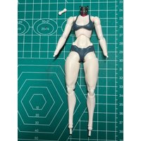 RomankeyX COWL 1/12 Scale Female Body B Model 6''Gun&Girl