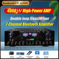 999BT/555BT HiFi Stereo Cyfrowe wzmacniacze Bluetooth Podwójny ekran dynamiczny Wzmacniacz dźwięku do domowego samochodu Spotkanie Karaoke Kino Max 4000W