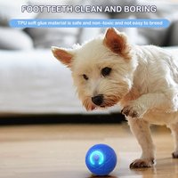 Smart Dog Toy Ball Electronic Interactive Pet Toy Moving Ball USB Automatic Moving Bouncing for Puppy Birthday Gift Cat Products