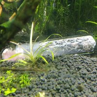 Holes Clear Aquatic Cleaner for Red Shrimp Dwarf Shrimp Pest Catch Trap Leech Catcher Planaria Trap Aquarium Worm Trap