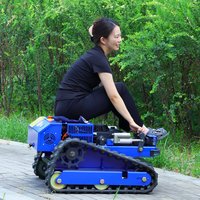 Customized remote-controlled lawn mower with 750W brushless motor, factory direct sales, featuring powerful climbing capability.