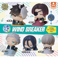 Stasto capsule toys cute Onemutan TV Anime WIND BREAKER Nidone Earth Color Ver. Haruka Sakura Hayato Suō gashapon figures