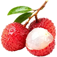 High Concentrate Litchi / Lychee Flavoring Liquid Aroma for DIY Homemade VP Juice Cloud Chasing Enhancer