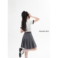 Gray Extended A-Line Pleated Skirt Women's Summer Autumn College Style Elastic Slimming Half Body JK Short Skirt Pants Winter