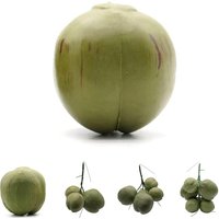 Simulation Coconut Plastic Fake Coconut Fruit Vegetable Model Photography Display Early Education Toy Hainan Scene Decoration