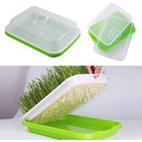 Germination Nursery Tray Pea Mung Bean Peanut Wheat Water Cultivation Seedling Tray Soilless Cultivation Tray Nursery Tray