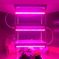 AC220V 110V LED Grow Light LED Plant Light Bar Full Spectrum Phyto Lamp Tube T5 29cm For Indoor Flowers Hydroponics System -Q