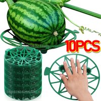 Garden Crops Plant Melon Supports Cages Cradles Trellis Watermelon Cradle Pumpkin Strawberry Holder Protect From Ground Rot Hold