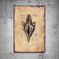 1pc Vintage "Vulva Anatomy Diagram" Metal Sign, Flat Printed Art Print, Distressed Rustic Decor for Bedroom & Feminist Space