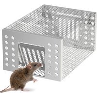 Humane Rat Trap with Double-Opening One-Way Door Mouse Trap Iron Rat Trap for Capturing Or Releasing Rodents
