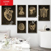 Heart/Skull/Brain Poster Anatomical Skeleton Vintage Home Room